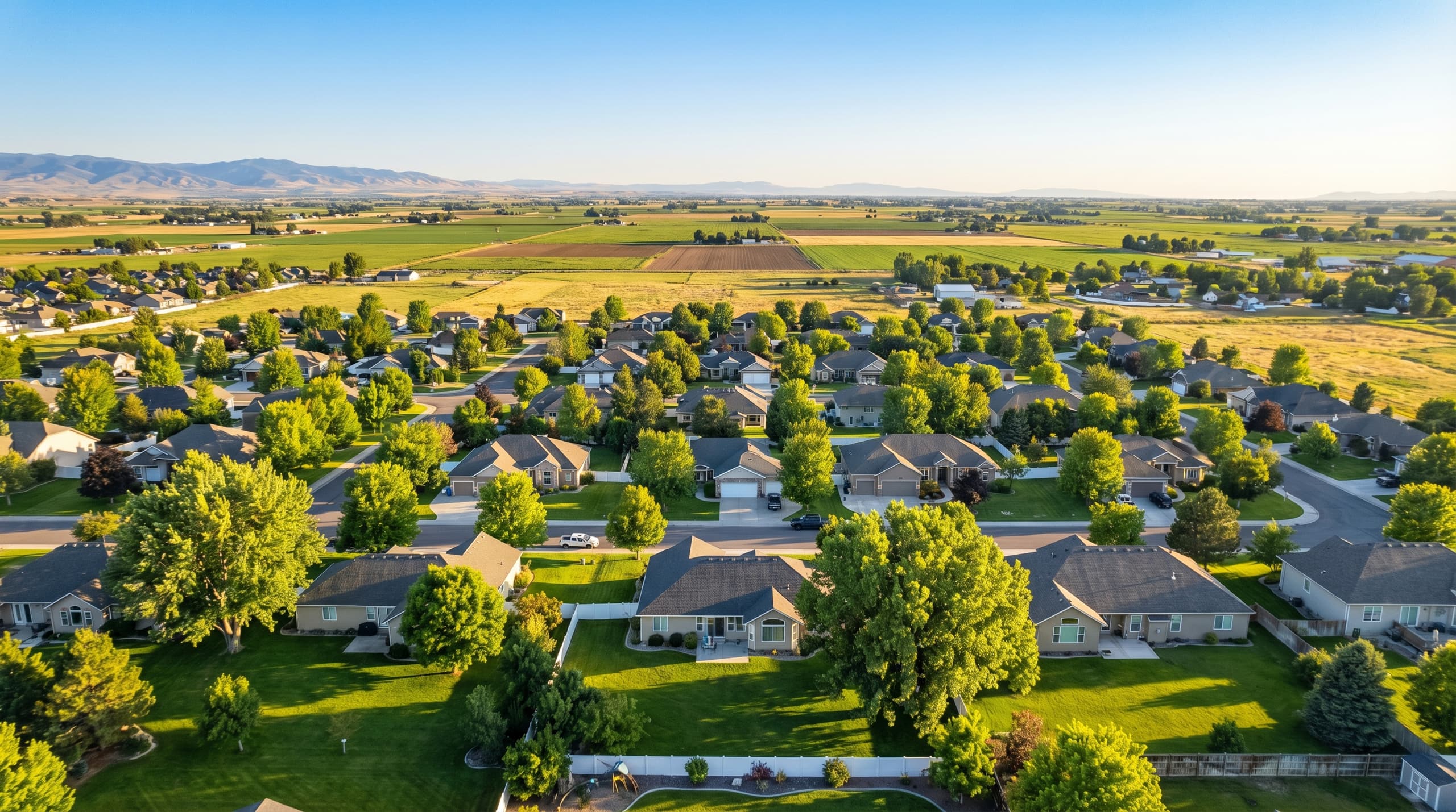 Pest control service in Nampa