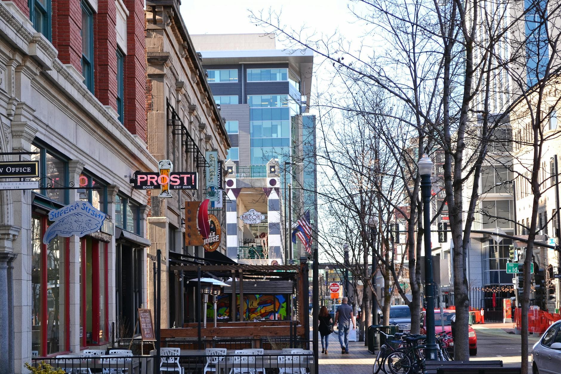 Downtown Boise cityscape - pest control in Boise Idaho