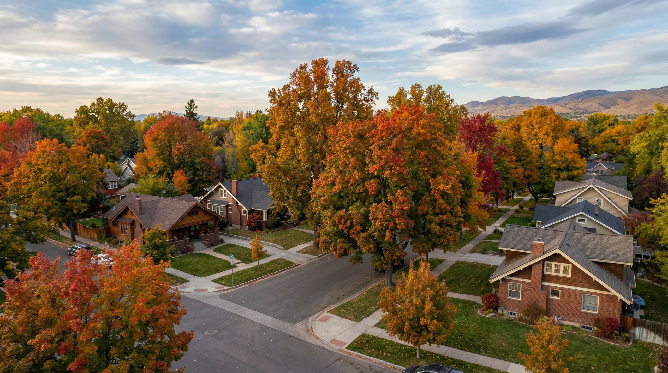 Maple Grove neighborhood pest control