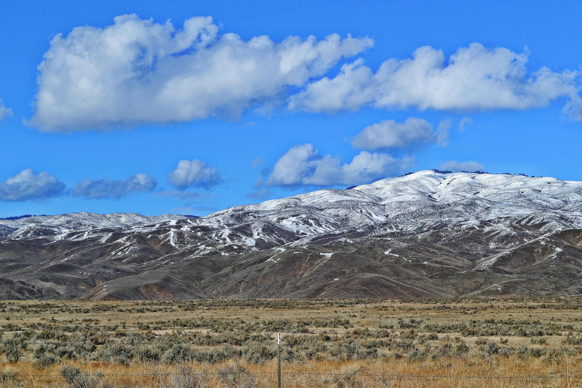 Idaho foothills near Eagle - pest control services
