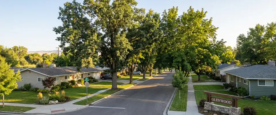 Glenwood neighborhood pest control