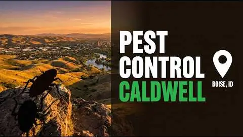 Caldwell Pest Control Video