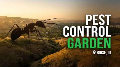 Garden City Pest Control Video