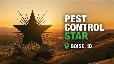 Star Pest Control Video