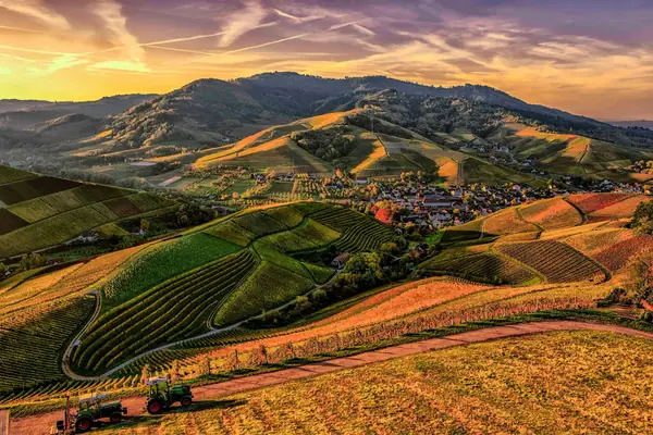 Farm fields on the rolling hills near Middleton at golden hour